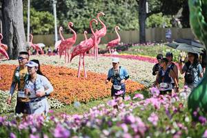 BIB: 
                            <button type="button" onclick="openModal(27794383)" class="btn btn-primary btn-sm float-right btn-popup" data-toggle="modal" data-target=".modal-high-quality">
                        <i class="fas fa-shopping-cart"></i> Add to Cart
                    </button>
                                            <button type="button" onclick="isThisMe(27794383, true)" class="btn btn-success btn-sm float-right btn-popup btn-isme hidden" data-toggle="tooltip" data-placement="bottom" title="นี่คือรูปของคุณใช่ไหม คลิกที่นี่เพื่อเอาเข้าอัลบั้ม">
                        <i class="fas fa-plus"></i> Add to album
                    </button>
                    <button type="button" onclick="isThisMe(27794383, false)" class="btn btn-warning btn-sm float-right btn-popup btn-isnotme hidden">
                        <i class="fas fa-ban"></i> Remove from album
                    </button>